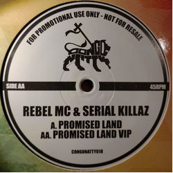 Rebel MC / Serial Killaz (2) Promised Land / Promised Land VIP Vinyl 12" USED
