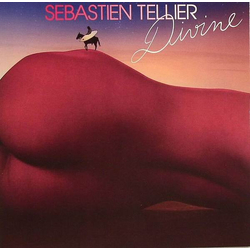 Sébastien Tellier Divine Vinyl 7" USED