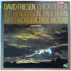 David Friesen Amber Skies Vinyl LP USED
