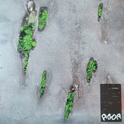 Koreless Agor Vinyl LP USED