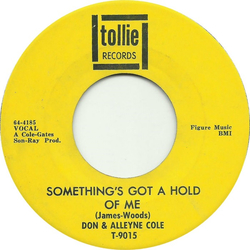 Don & Alleyne Cole Something's Got A Hold Of Me / Gotta' Find My Baby Vinyl 7" USED