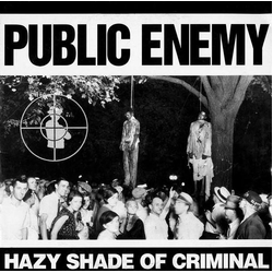 Public Enemy Hazy Shade Of Criminal Vinyl 12" USED