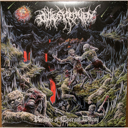 Outer Heaven (2) Realms Of Eternal Decay Vinyl LP USED