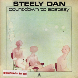 Steely Dan Countdown To Ecstasy Vinyl LP USED
