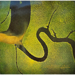 Dead Can Dance The Serpent's Egg Vinyl LP USED
