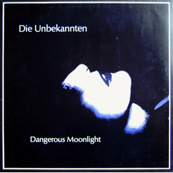 Die Unbekannten Dangerous Moonlight Vinyl 12" USED