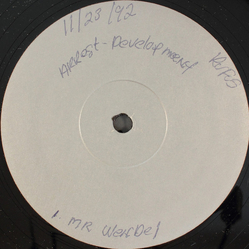 Arrested Development / EPMD Mr. Wendell / Crossover Vinyl 12" USED