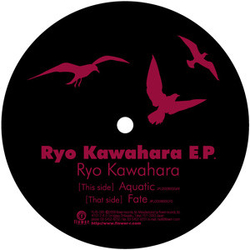 Ryo Kawahara Ryo Kawahara E.P. Vinyl 12" USED