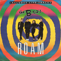 The B-52's Roam Vinyl 7" USED