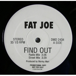 Fat Joe Find Out Vinyl 12" USED