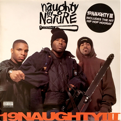 Naughty By Nature 19 Naughty III Vinyl LP USED