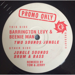 Barrington Levy / Beenie Man Two Sounds Jungle / Jungle Sounds Drum'n'bass (Tom & Jerry Remixes) Vinyl 12" USED