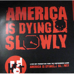 Various America Is Dying Slowly USED VINYL 12INCH 45 RPM SAMPLER