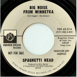 Spaghetti Head Big Noise From Winnetka Vinyl 7" USED