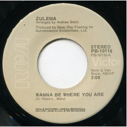 Zulema Wanna Be Where You Are / No Time Next Time Vinyl 7" USED