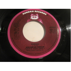 Aquarian Dream (2) Phoenix Vinyl 7" USED