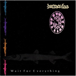 Barracudas Wait For Everything Vinyl LP USED