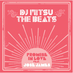 DJ Mitsu The Beats Promise In Love Vinyl 7" USED