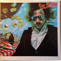 Joe Walsh "But Seriously, Folks..." Vinyl LP USED