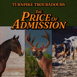 Turnpike Troubadours The Price of Admission Vinyl LP USED