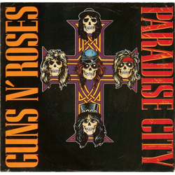 Guns N' Roses Paradise City Vinyl 7" USED