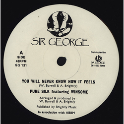 Pure Silk / Winsome You Will Never Know How It Feels Vinyl 12" USED