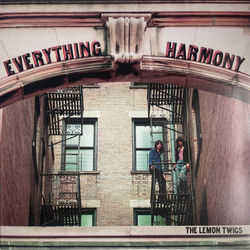 The Lemon Twigs Everything Harmony Vinyl LP USED