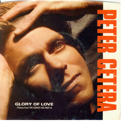 Peter Cetera Glory Of Love Vinyl 7" USED