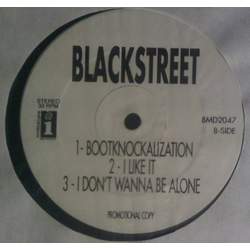 The Lady Of Rage / Blackstreet Afro Puffs / Bootknockalization / I Like It / I Don't Wanna Be Alone Vinyl 12" USED