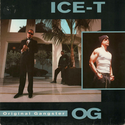 Ice-T O.G. Original Gangster Vinyl LP USED