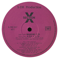 Section X Galaxian / X-Fly I Vinyl 12" USED