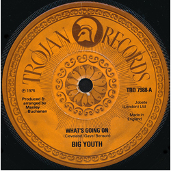 Big Youth What's Going On / Ten Against One Vinyl 7" USED