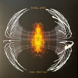 Pearl Jam Dark Matter Vinyl LP USED