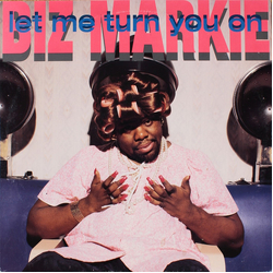 Biz Markie Let Me Turn You On Vinyl 12" USED