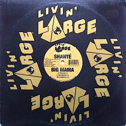 Roxanne Shanté Big  Mama Vinyl 12" USED