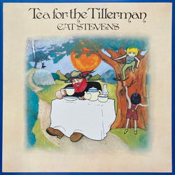Cat Stevens Tea For The Tillerman Vinyl LP USED
