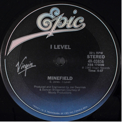 I-Level Minefield Vinyl 12" USED