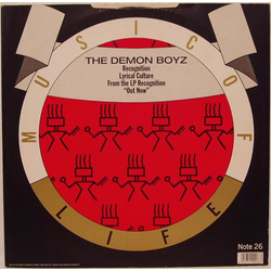 Demon Boyz Recognition Vinyl 12" USED