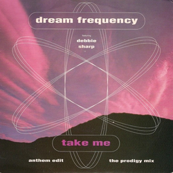 Dream Frequency Take Me Vinyl 7" USED