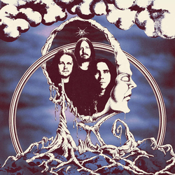 Primitive Ring Primitive Ring Vinyl LP USED