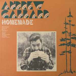 Andrew Gabbard Homemade Vinyl LP USED