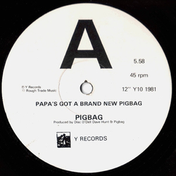 Pigbag Papa's Got A Brand New Pigbag Vinyl 12" USED