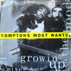 CMW Growin' Up In The Hood Vinyl 12" USED
