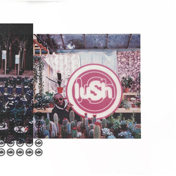 Lush Lovelife Vinyl LP USED