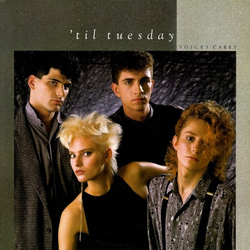 'Til Tuesday Voices Carry Vinyl LP USED