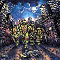John Du Prez Teenage Mutant Ninja Turtles Vinyl 2 LP USED