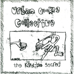 Urban Cookie Collective The Key : The Secret Vinyl 7" USED