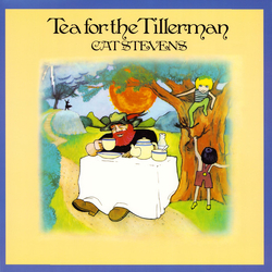 Cat Stevens Tea For The Tillerman Vinyl LP USED