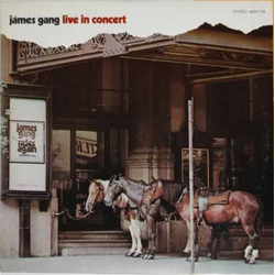 James Gang Live In Concert Vinyl LP USED