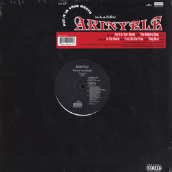 Akinyele Put It In Your Mouth Vinyl 12" USED